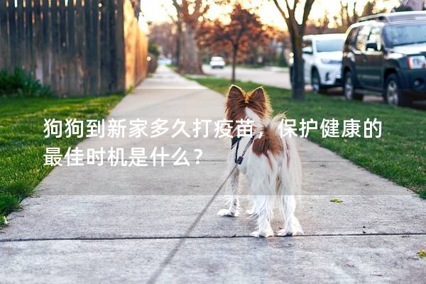 狗狗到新家多久打疫苗，保护健康的最佳时机是什么？