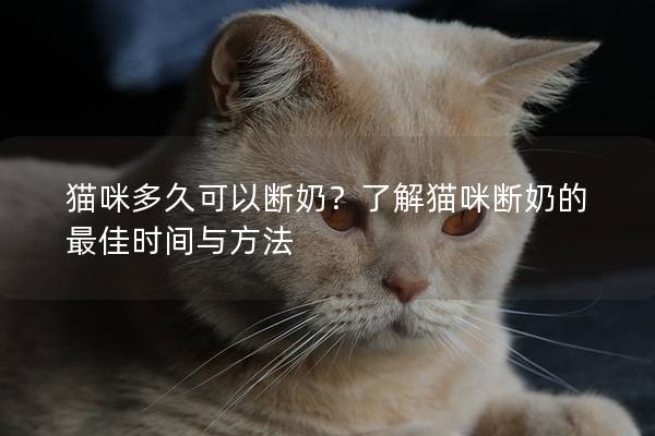 猫咪多久可以断奶？了解猫咪断奶的最佳时间与方法