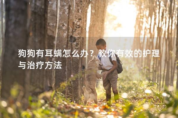 狗狗有耳螨怎么办？教你有效的护理与治疗方法