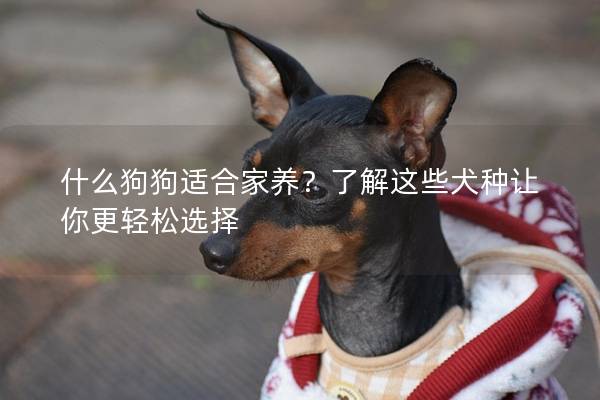 什么狗狗适合家养？了解这些犬种让你更轻松选择
