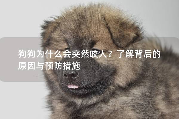 狗狗为什么会突然咬人？了解背后的原因与预防措施