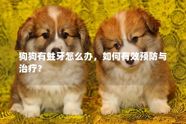 狗狗有蛀牙怎么办，如何有效预防与治疗？