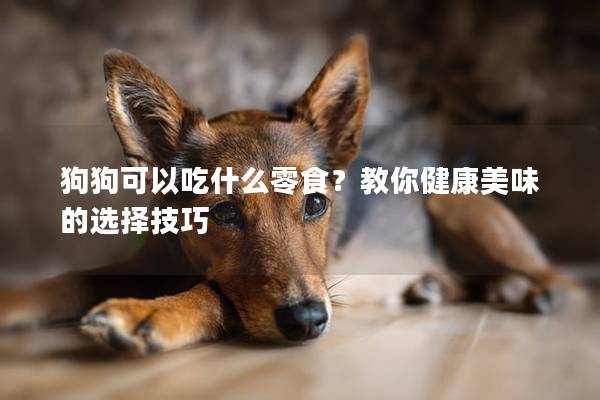 狗狗可以吃什么零食？教你健康美味的选择技巧