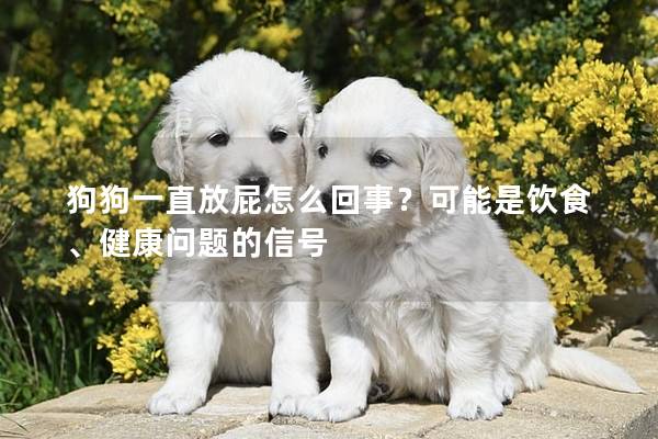 狗狗一直放屁怎么回事？可能是饮食、健康问题的信号