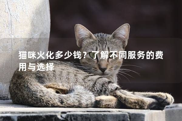 猫咪火化多少钱？了解不同服务的费用与选择