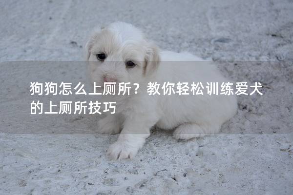 狗狗怎么上厕所？教你轻松训练爱犬的上厕所技巧