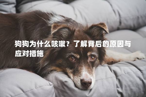 狗狗为什么咳嗽？了解背后的原因与应对措施