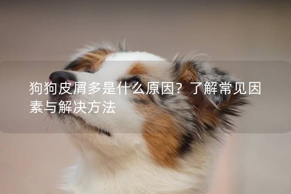 狗狗皮屑多是什么原因？了解常见因素与解决方法