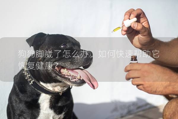 狗狗脚崴了怎么办，如何快速帮助它恢复健康？