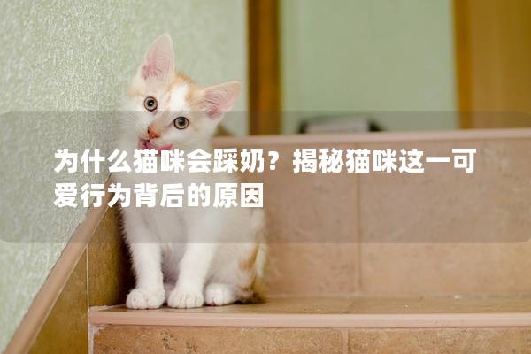 为什么猫咪会踩奶？揭秘猫咪这一可爱行为背后的原因