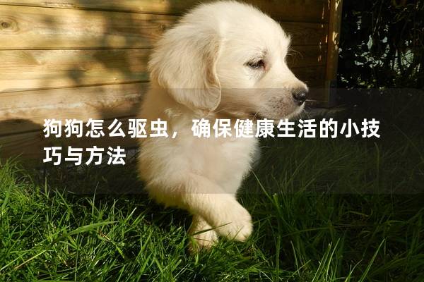狗狗怎么驱虫,确保健康生活的小技巧与方法 狗狗怎么驱虫,确保健康生活的小技巧与方法