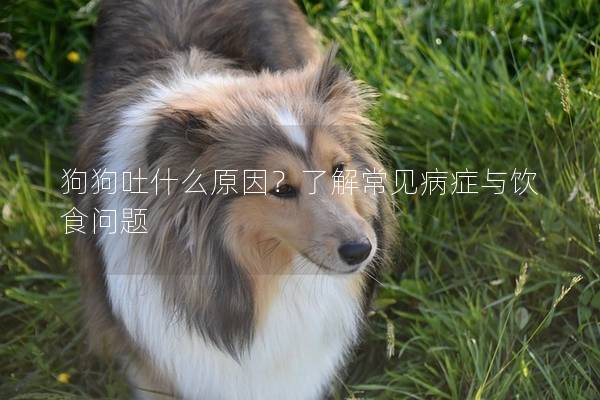 狗狗吐什么原因？了解常见病症与饮食问题