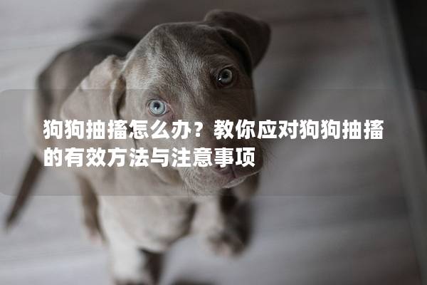 狗狗抽搐怎么办？教你应对狗狗抽搐的有效方法与注意事项