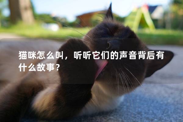 猫咪怎么叫，听听它们的声音背后有什么故事？
