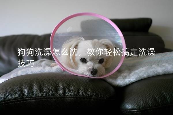 狗狗洗澡怎么洗，教你轻松搞定洗澡技巧