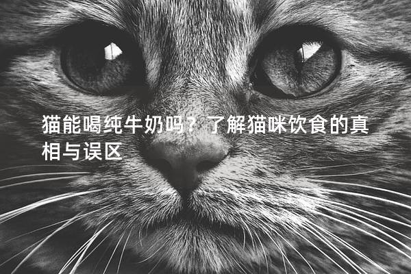 猫能喝纯牛奶吗？了解猫咪饮食的真相与误区