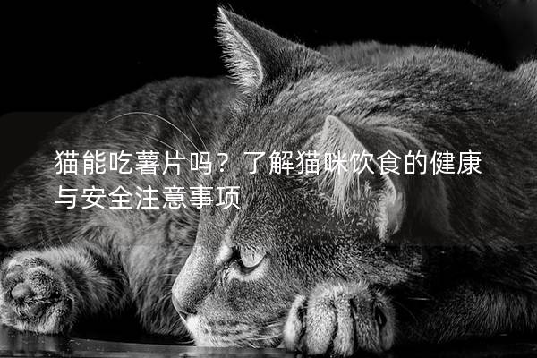 猫能吃薯片吗？了解猫咪饮食的健康与安全注意事项