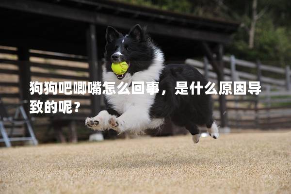 狗狗吧唧嘴怎么回事，是什么原因导致的呢？
