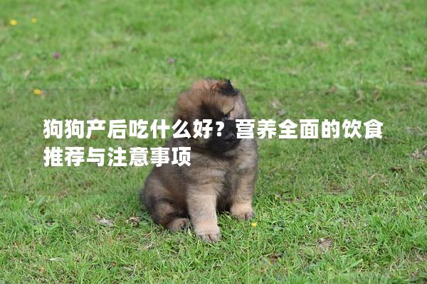 狗狗产后吃什么好？营养全面的饮食推荐与注意事项