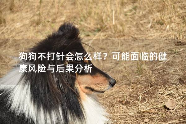 狗狗不打针会怎么样？可能面临的健康风险与后果分析