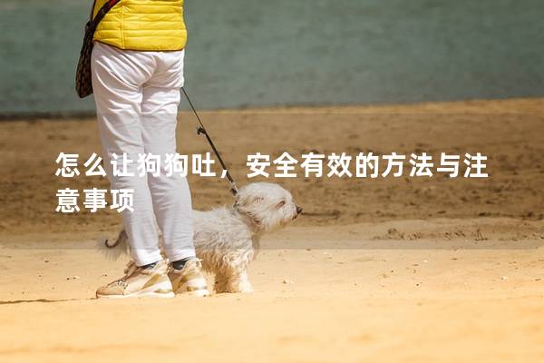 怎么让狗狗吐，安全有效的方法与注意事项