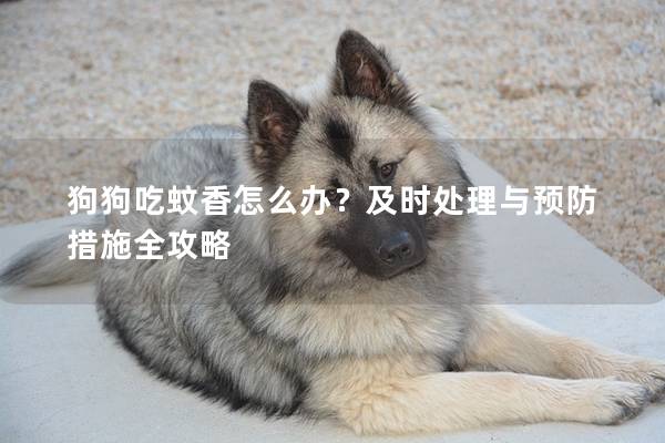 狗狗吃蚊香怎么办？及时处理与预防措施全攻略