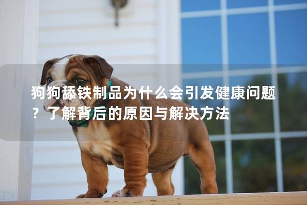 狗狗舔铁制品为什么会引发健康问题？了解背后的原因与解决方法