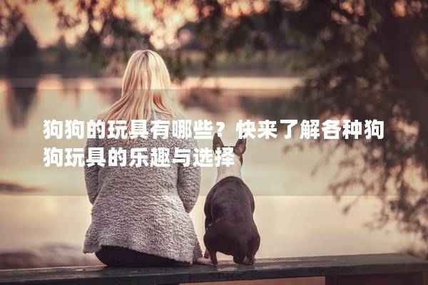 狗狗的玩具有哪些？快来了解各种狗狗玩具的乐趣与选择