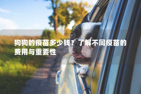 狗狗的疫苗多少钱？了解不同疫苗的费用与重要性