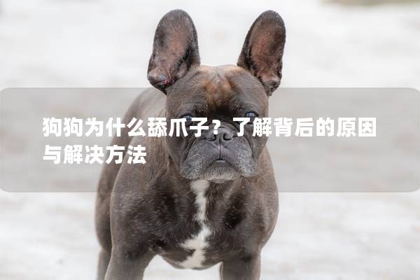 狗狗为什么舔爪子？了解背后的原因与解决方法