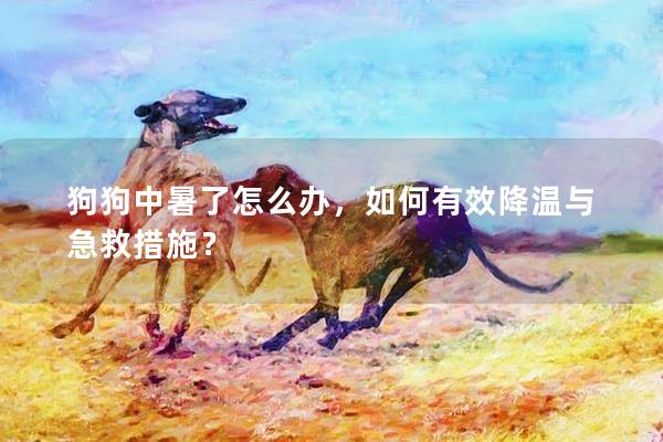 狗狗中暑了怎么办，如何有效降温与急救措施？