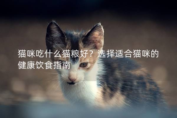 猫咪吃什么猫粮好？选择适合猫咪的健康饮食指南