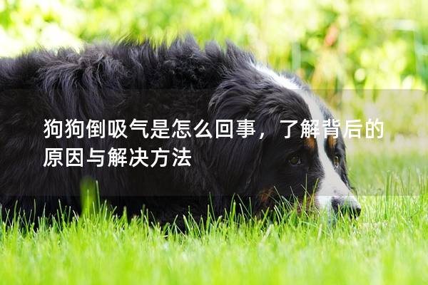 狗狗倒吸气是怎么回事，了解背后的原因与解决方法