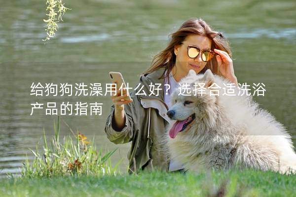 给狗狗洗澡用什么好？选择合适洗浴产品的指南