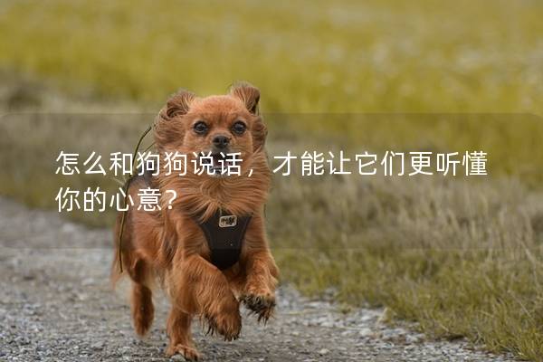 怎么和狗狗说话，才能让它们更听懂你的心意？