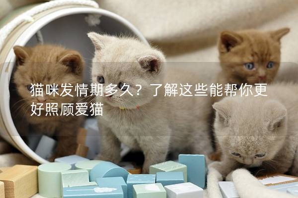 猫咪发情期多久？了解这些能帮你更好照顾爱猫