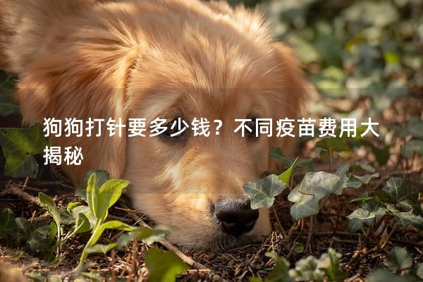 狗狗打针要多少钱？不同疫苗费用大揭秘