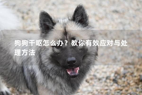 狗狗干呕怎么办？教你有效应对与处理方法