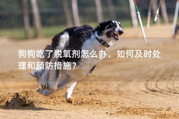 狗狗吃了脱氧剂怎么办，如何及时处理和预防措施？