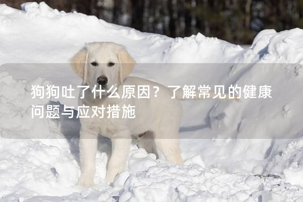 狗狗吐了什么原因？了解常见的健康问题与应对措施