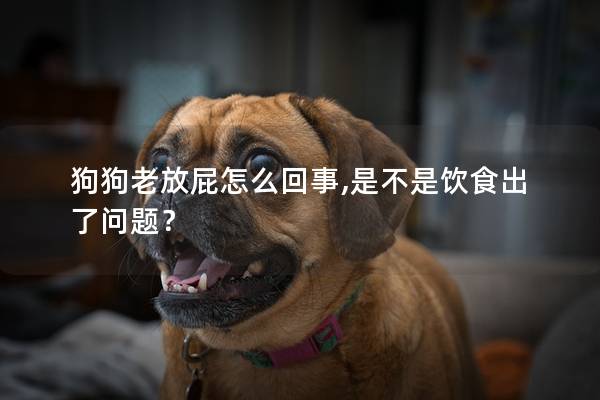 狗狗老放屁怎么回事,是不是饮食出了问题？