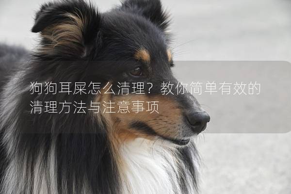 狗狗耳屎怎么清理？教你简单有效的清理方法与注意事项