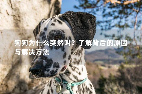 狗狗为什么突然叫？了解背后的原因与解决方法
