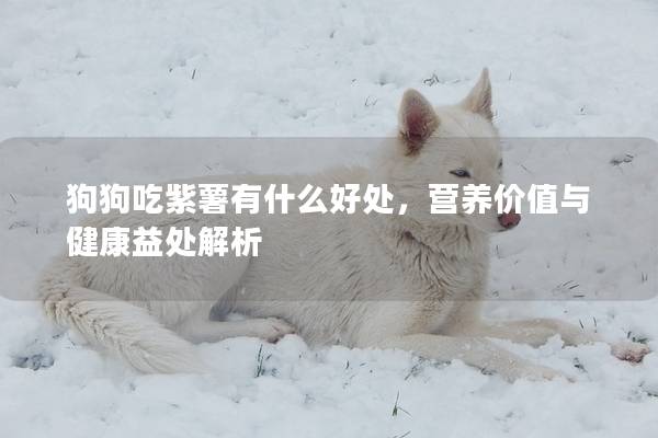 狗狗吃紫薯有什么好处,营养价值与健康益处解析 狗狗吃紫薯有什么好处,营养价值与健康益处解析