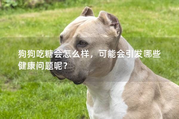 狗狗吃糖会怎么样，可能会引发哪些健康问题呢？