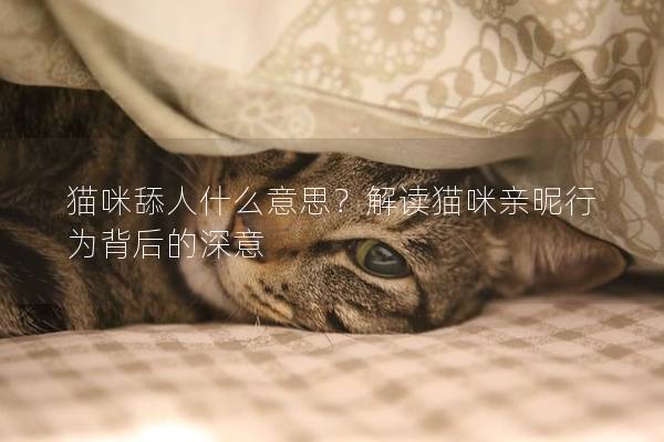 猫咪舔人什么意思？解读猫咪亲昵行为背后的深意