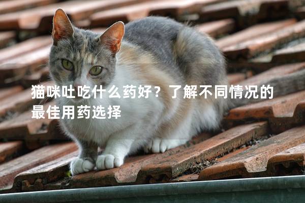 猫咪吐吃什么药好？了解不同情况的最佳用药选择