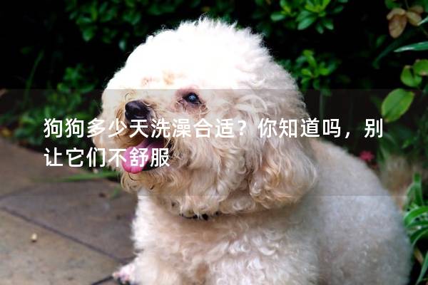 狗狗多少天洗澡合适？你知道吗，别让它们不舒服