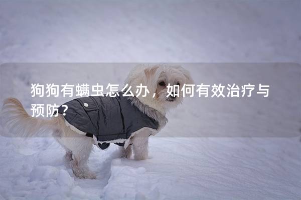 狗狗有螨虫怎么办，如何有效治疗与预防？