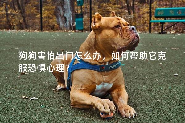 狗狗害怕出门怎么办,如何帮助它克服恐惧心理? 狗狗害怕出门怎么办,如何帮助它克服恐惧心理?